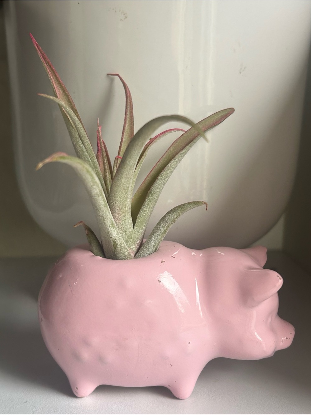 Vintage Miniature Ceramic Pig Toothpick Holder